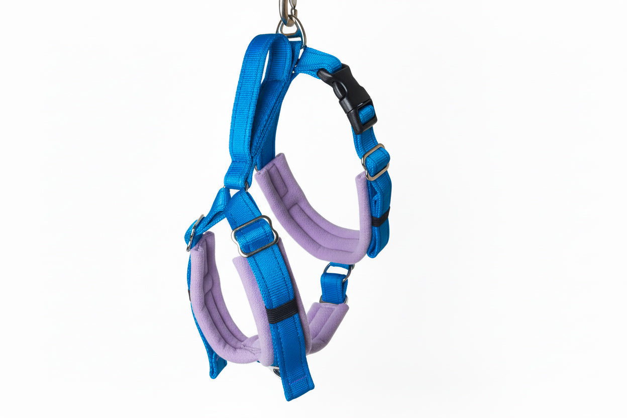 Electric Blue Adjustable Vari-Fit Harness - Fleece Lined