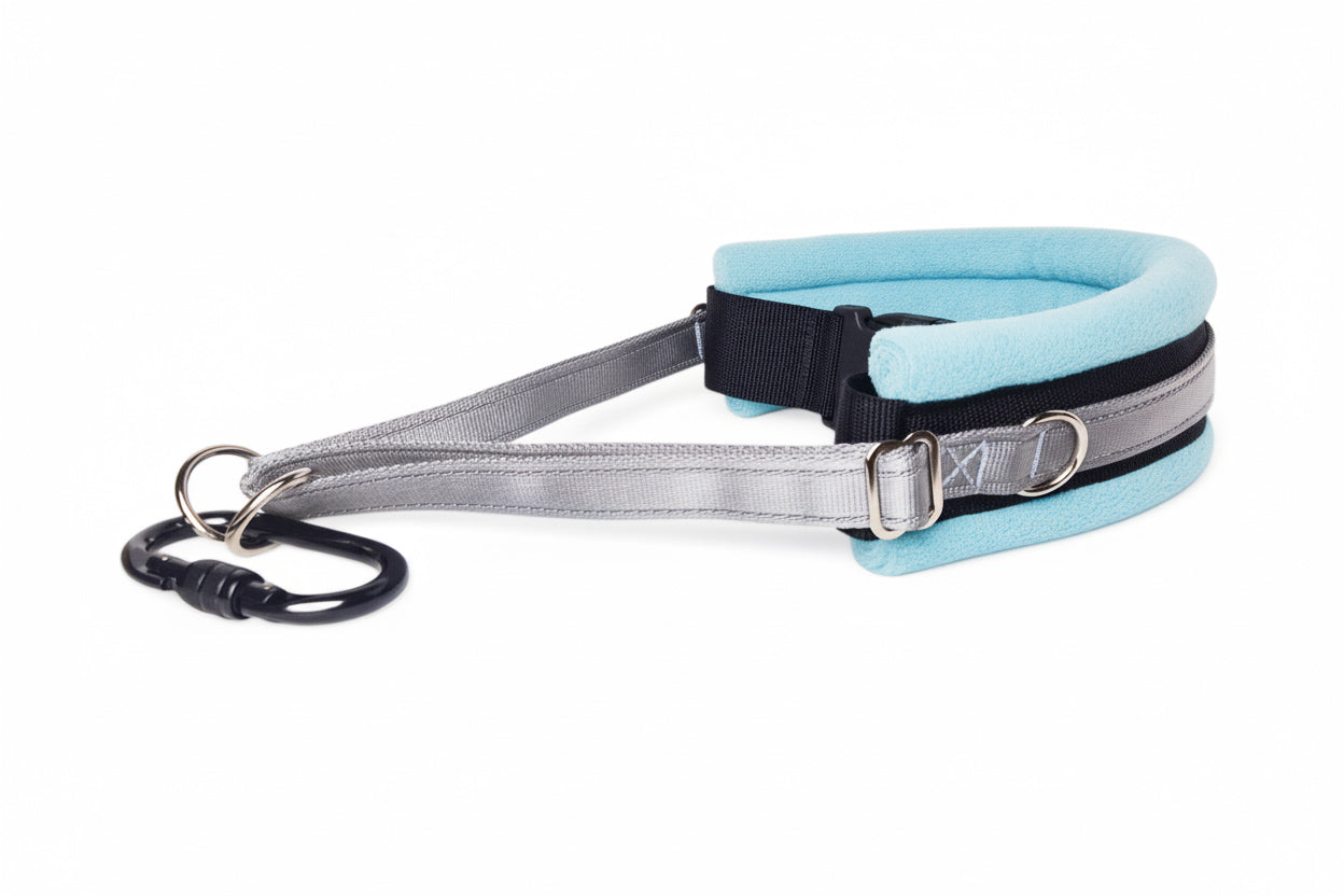 Hands Free Dog Walking Belt - Silver Webbing