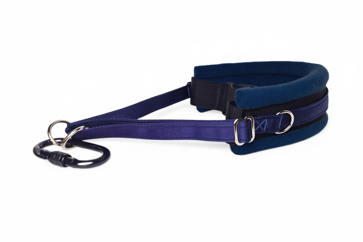 Hands Free Dog Walking Belt - Navy Blue Webbing