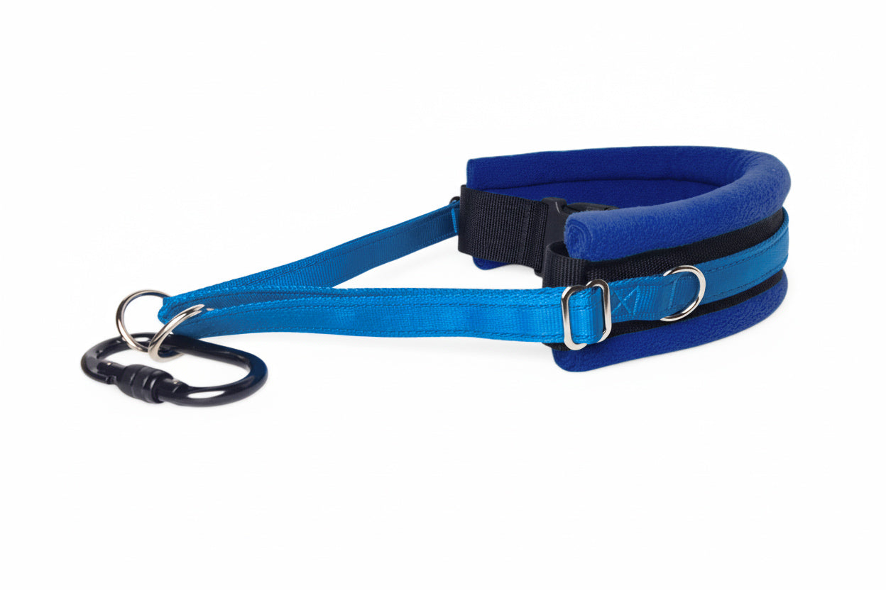 Hands Free Dog Walking Belt - Electric Blue Webbing