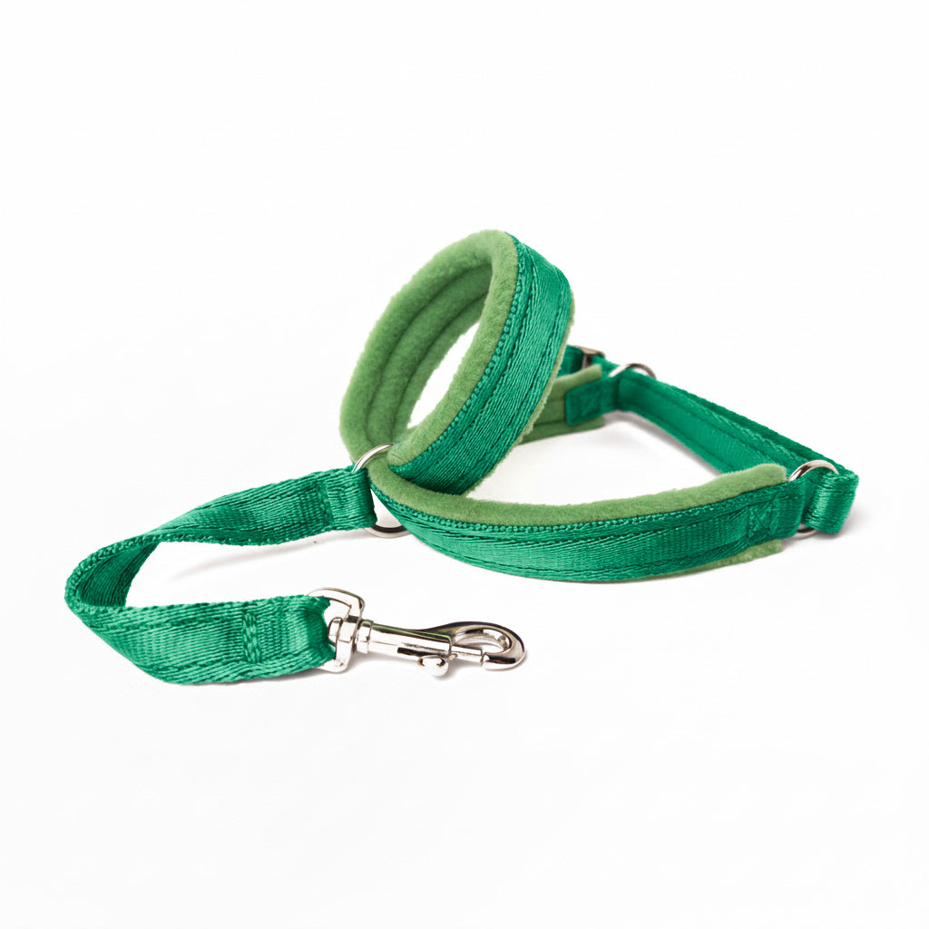 Figure 8 Martingale Headcollar - Emerald Green Webbing
