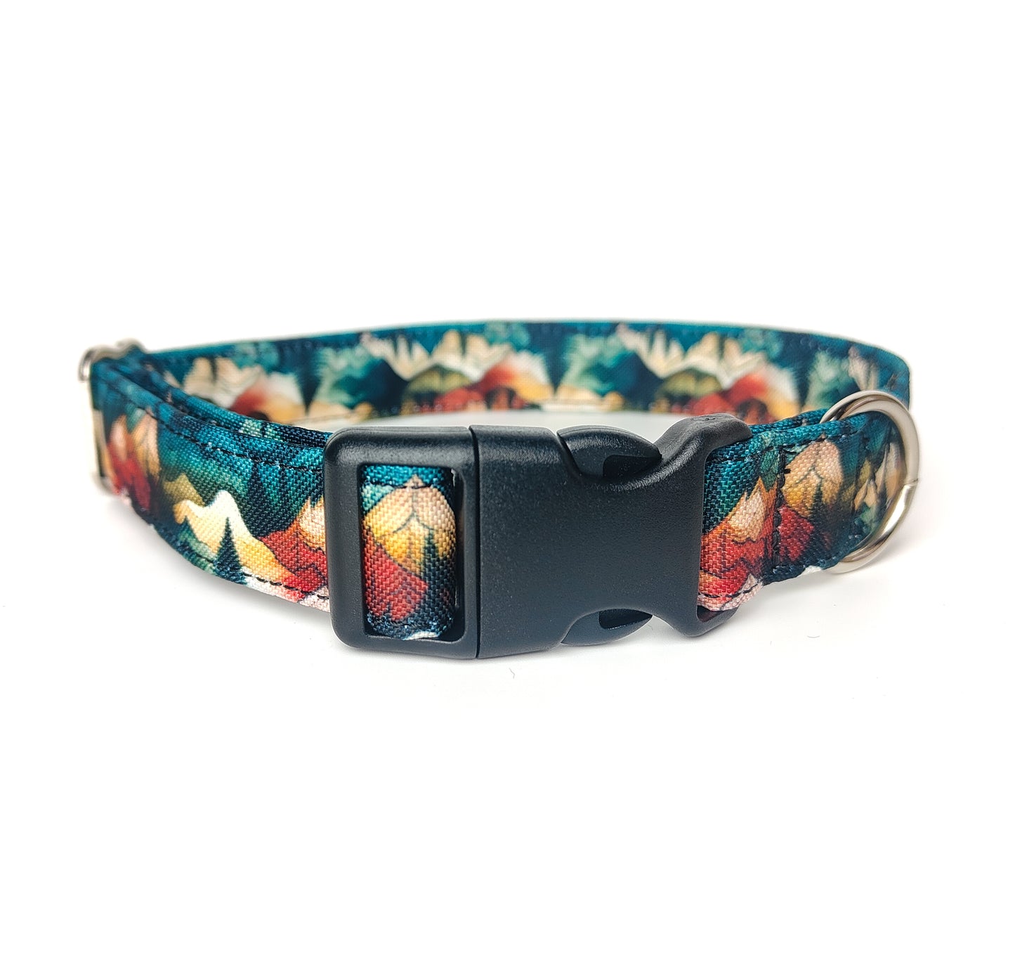 Patterned Dog Collars