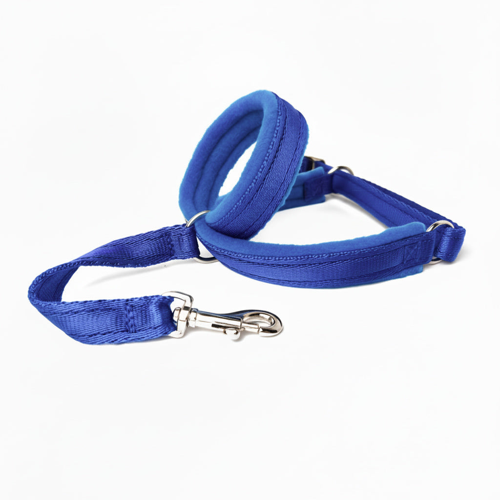 Figure 8 Martingale Headcollar - Royal Blue Webbing