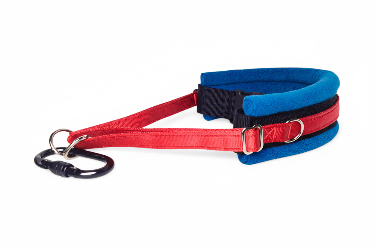 Hands Free Dog Walking Belt - Red Webbing