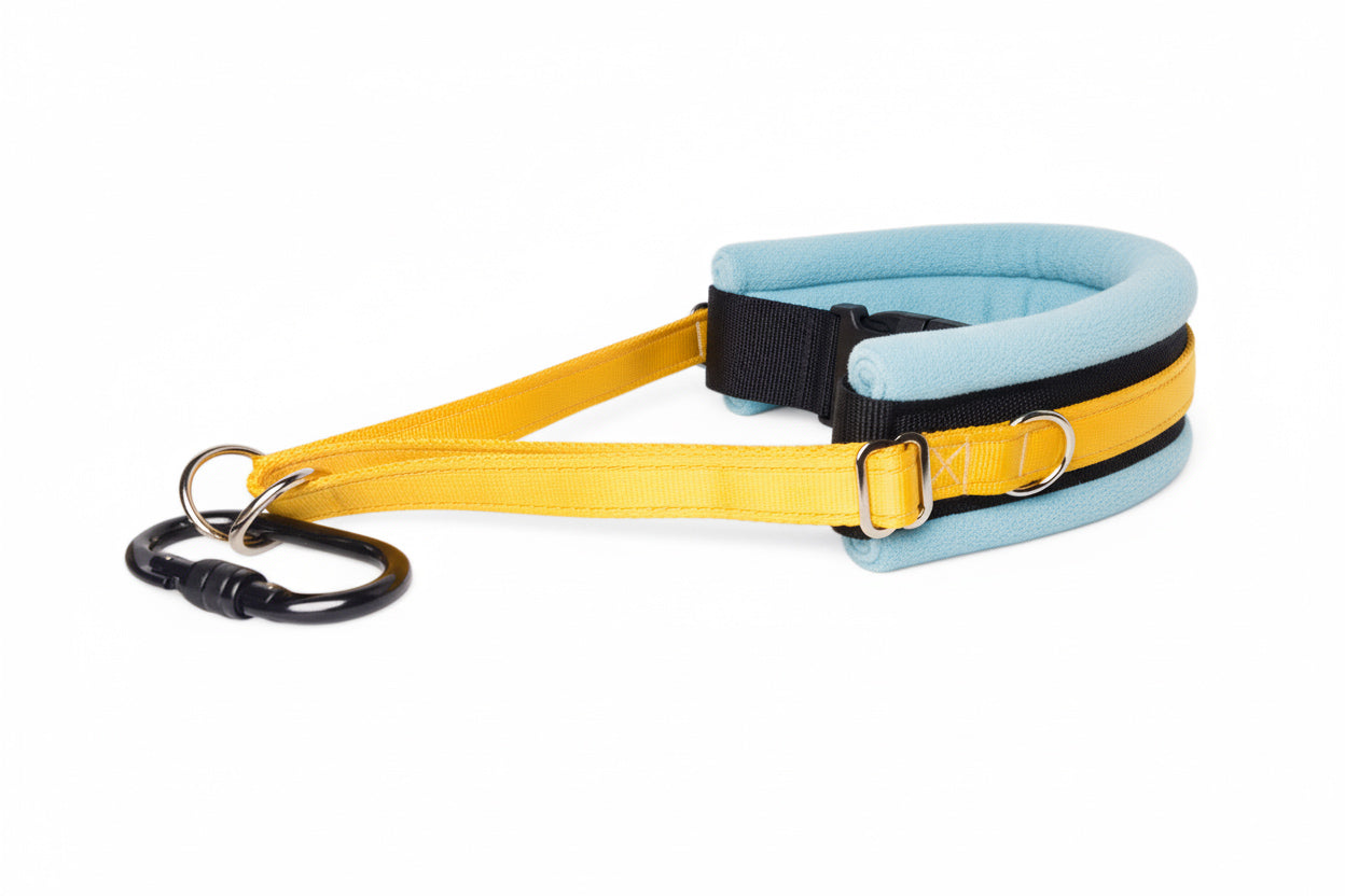 Hands Free Dog Walking Belt - Yellow Webbing