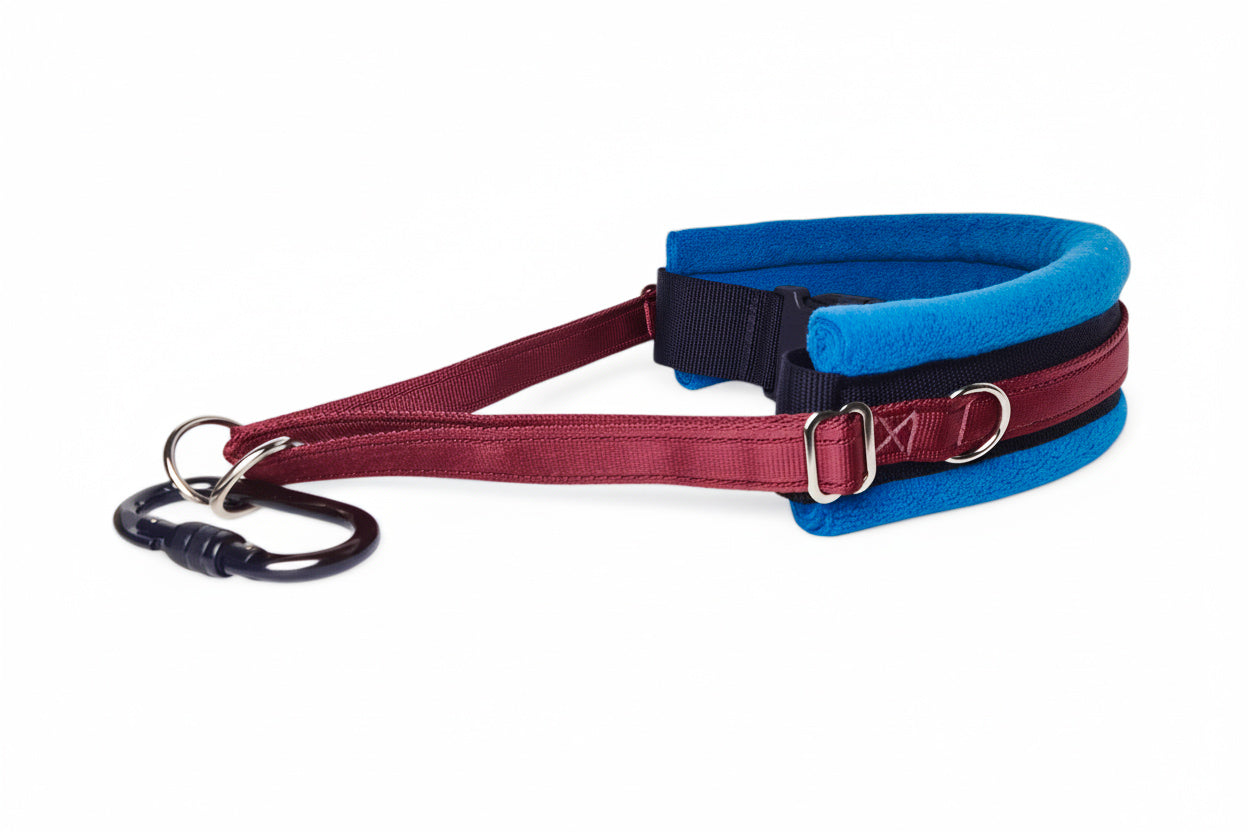 Hands Free Dog Walking Belt - Burgundy Webbing