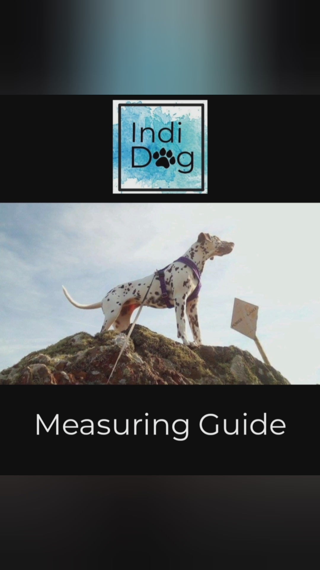 Indi-Dog harness measuring guide