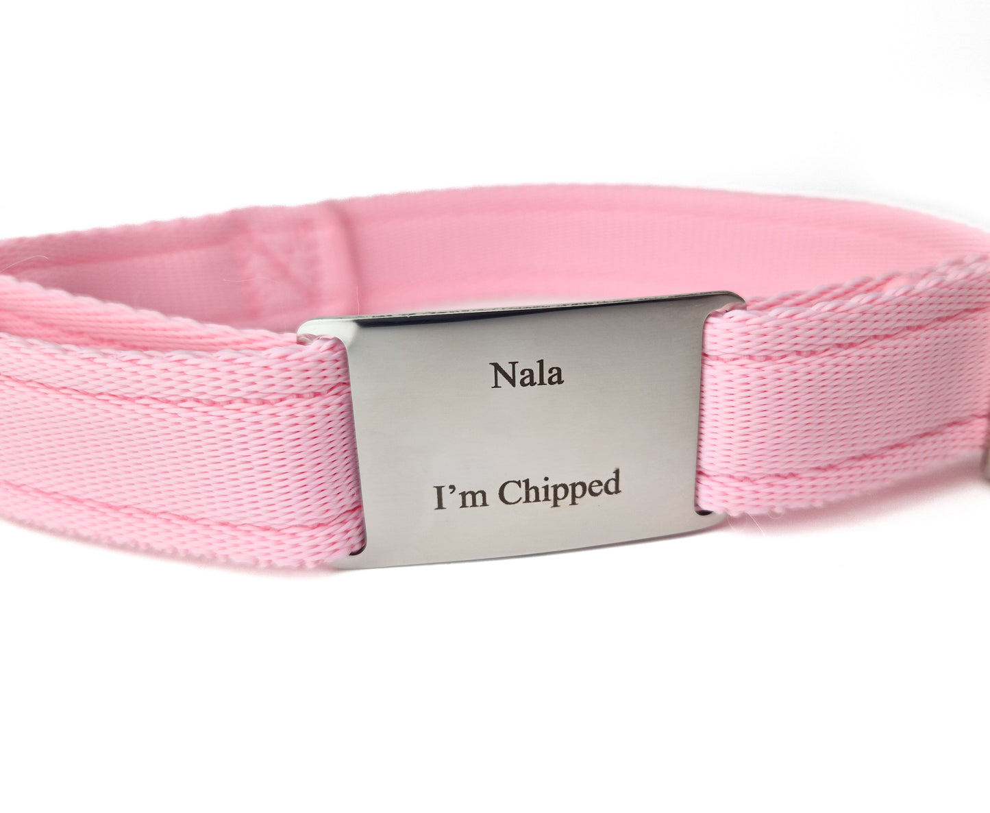 Fixed Collar Tag