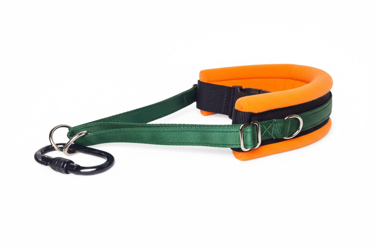 Hands Free Dog Walking Belt - Forest Green Webbing
