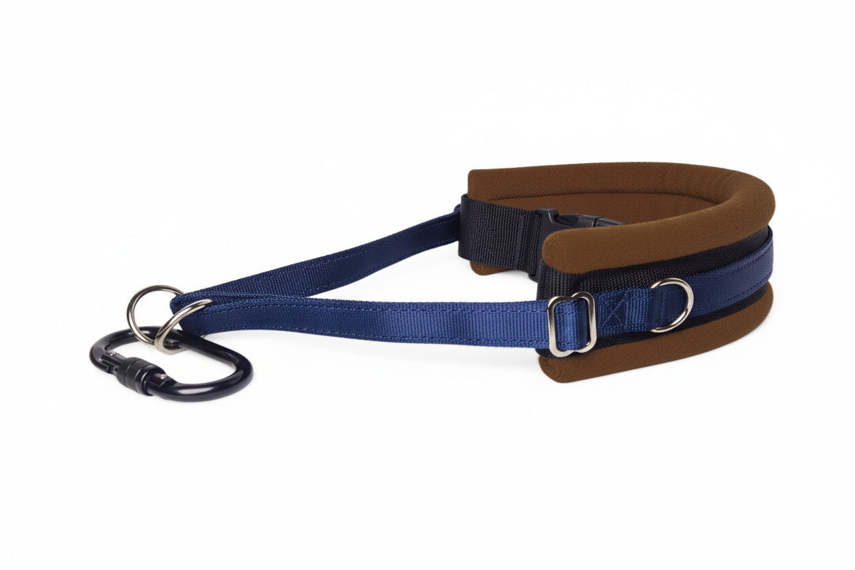 Hands Free Dog Walking Belt - Navy Blue Webbing