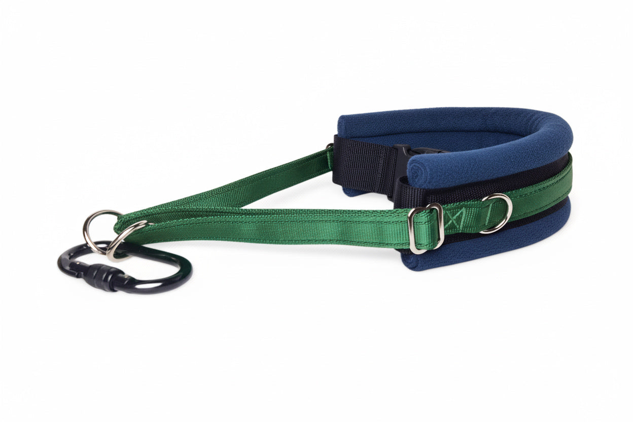 Hands Free Dog Walking Belt - Forest Green Webbing