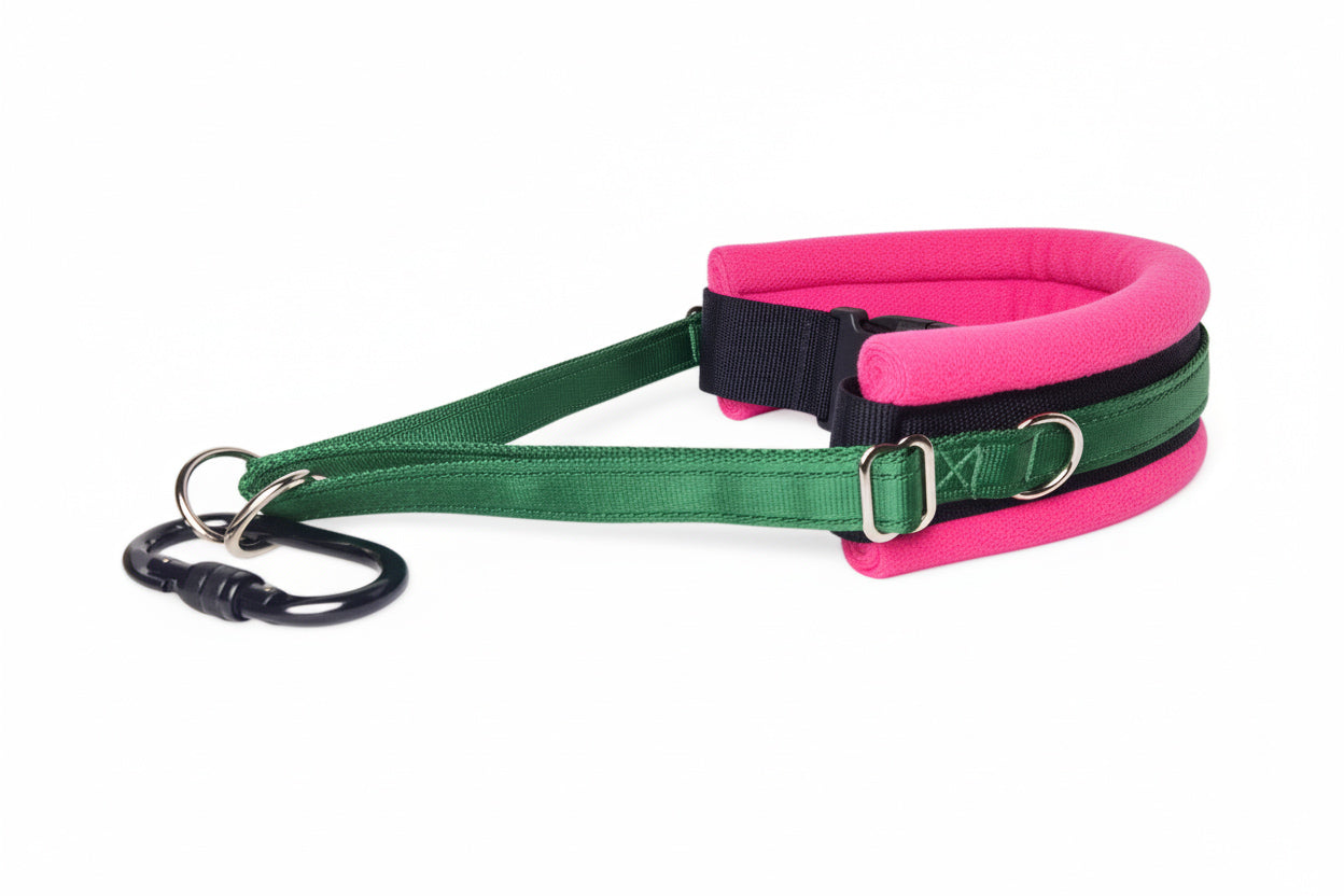 Hands Free Dog Walking Belt - Forest Green Webbing
