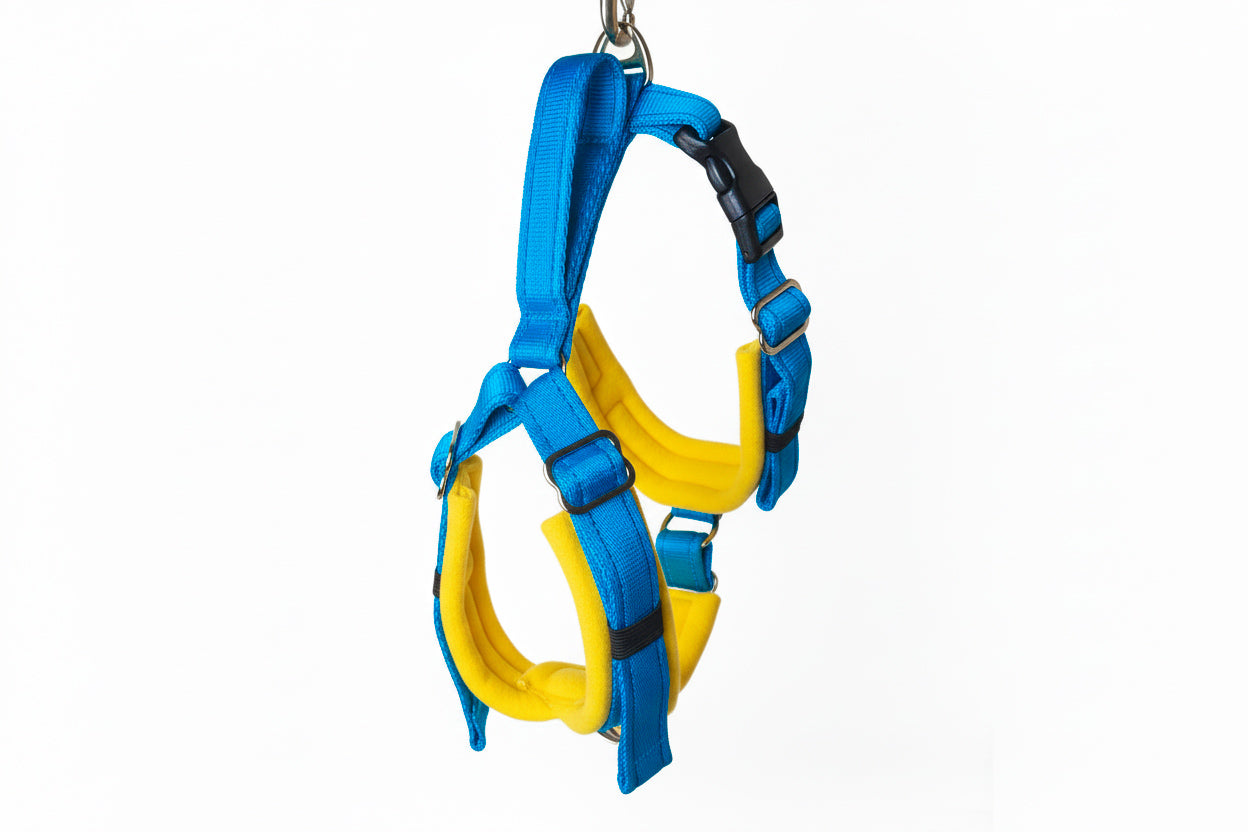 Electric Blue Adjustable Vari-Fit Harness - Fleece Lined