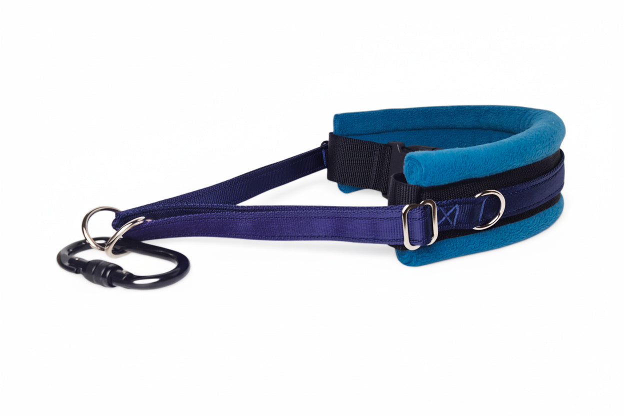 Hands Free Dog Walking Belt - Navy Blue Webbing