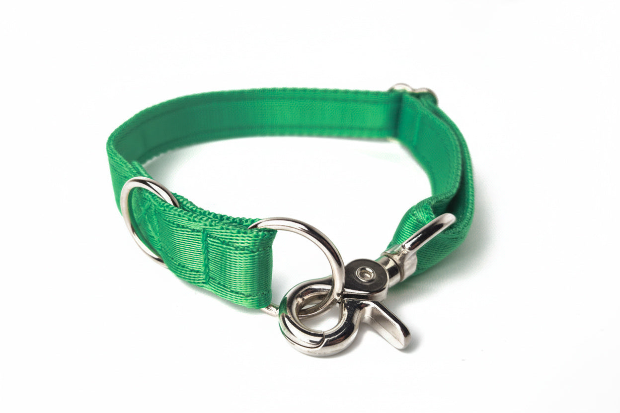 Quick-Clip Collar