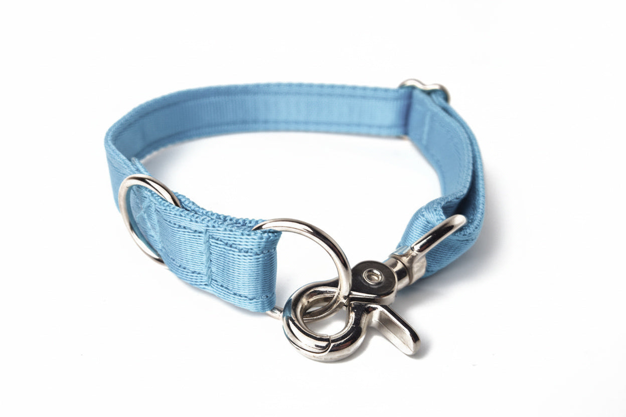Quick-Clip Collar