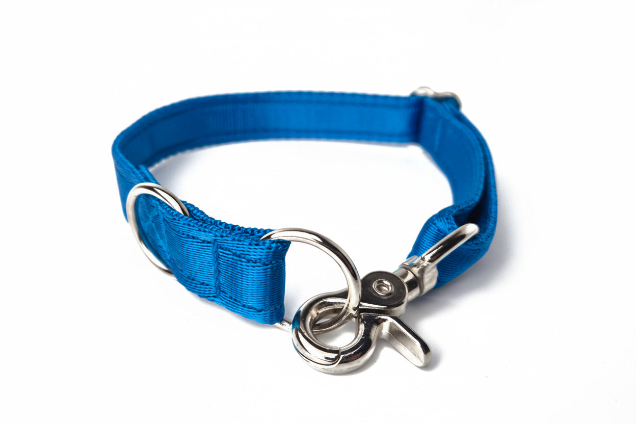 Quick-Clip Collar
