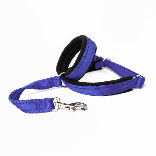 Figure 8 Martingale Headcollar - Royal Blue Webbing