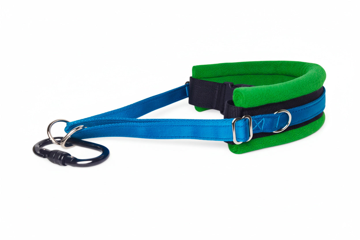 Hands Free Dog Walking Belt - Electric Blue Webbing