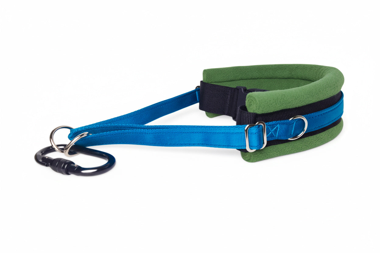 Hands Free Dog Walking Belt - Electric Blue Webbing