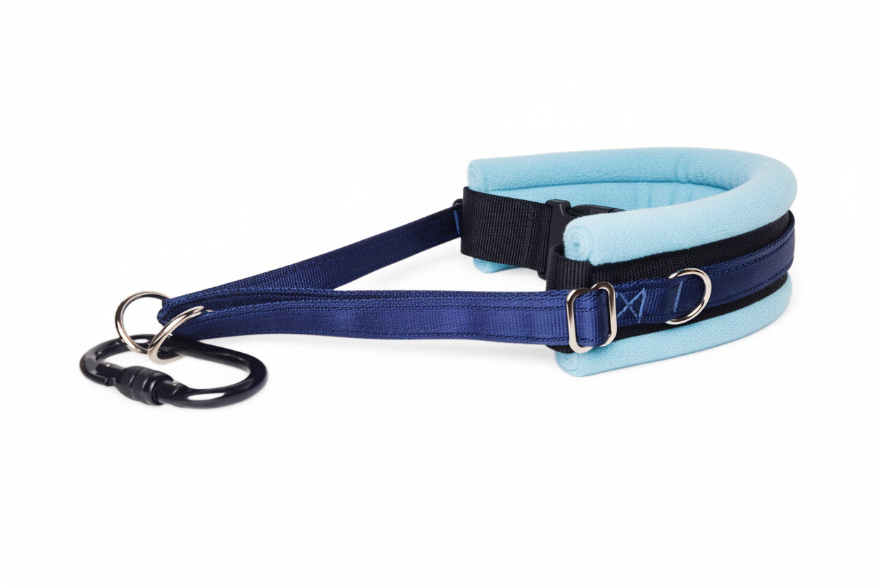 Hands Free Dog Walking Belt - Navy Blue Webbing