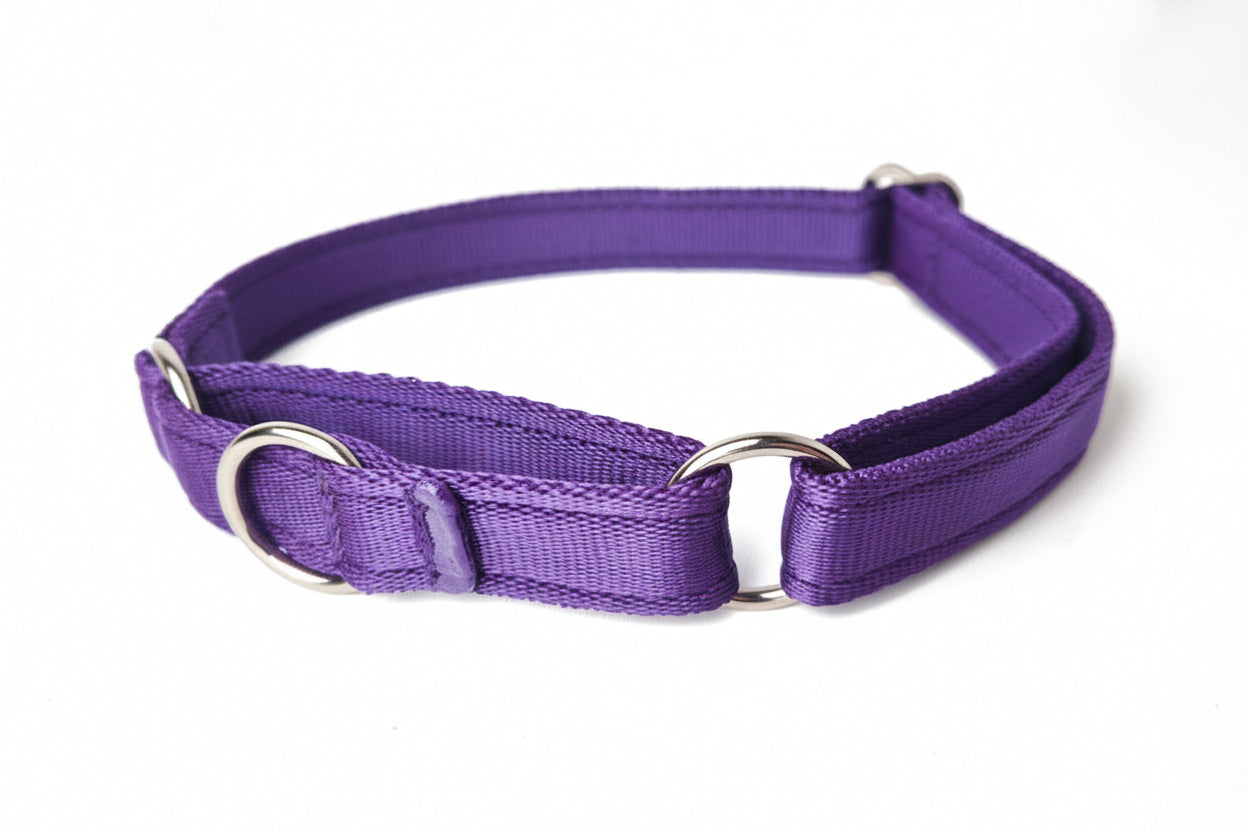 Martingale Collar