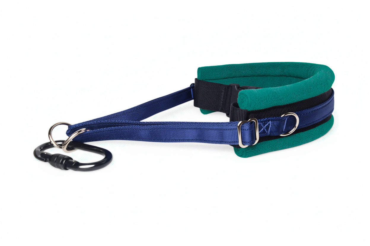 Hands Free Dog Walking Belt - Navy Blue Webbing