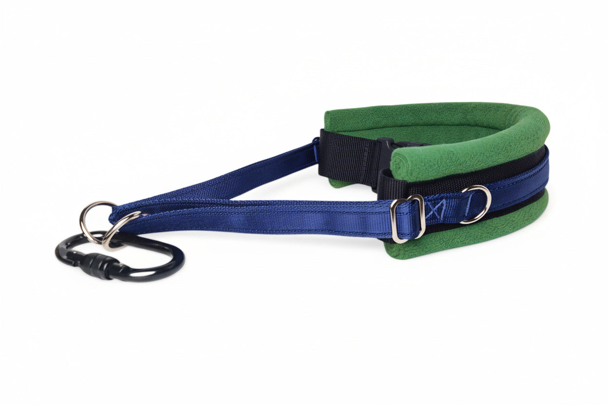 Hands Free Dog Walking Belt - Navy Blue Webbing