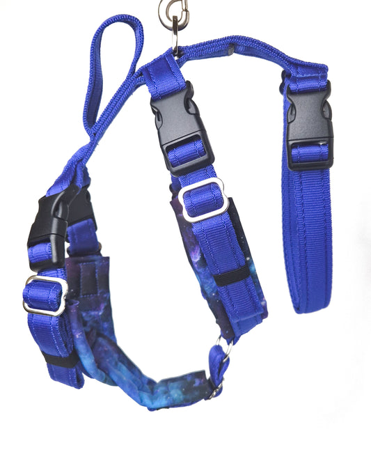 Large Houdini Harness - Royal Blue/Nebula