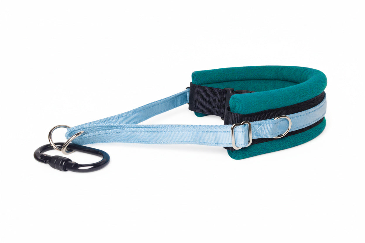 Hands Free Dog Walking Belt - Sky Blue Webbing