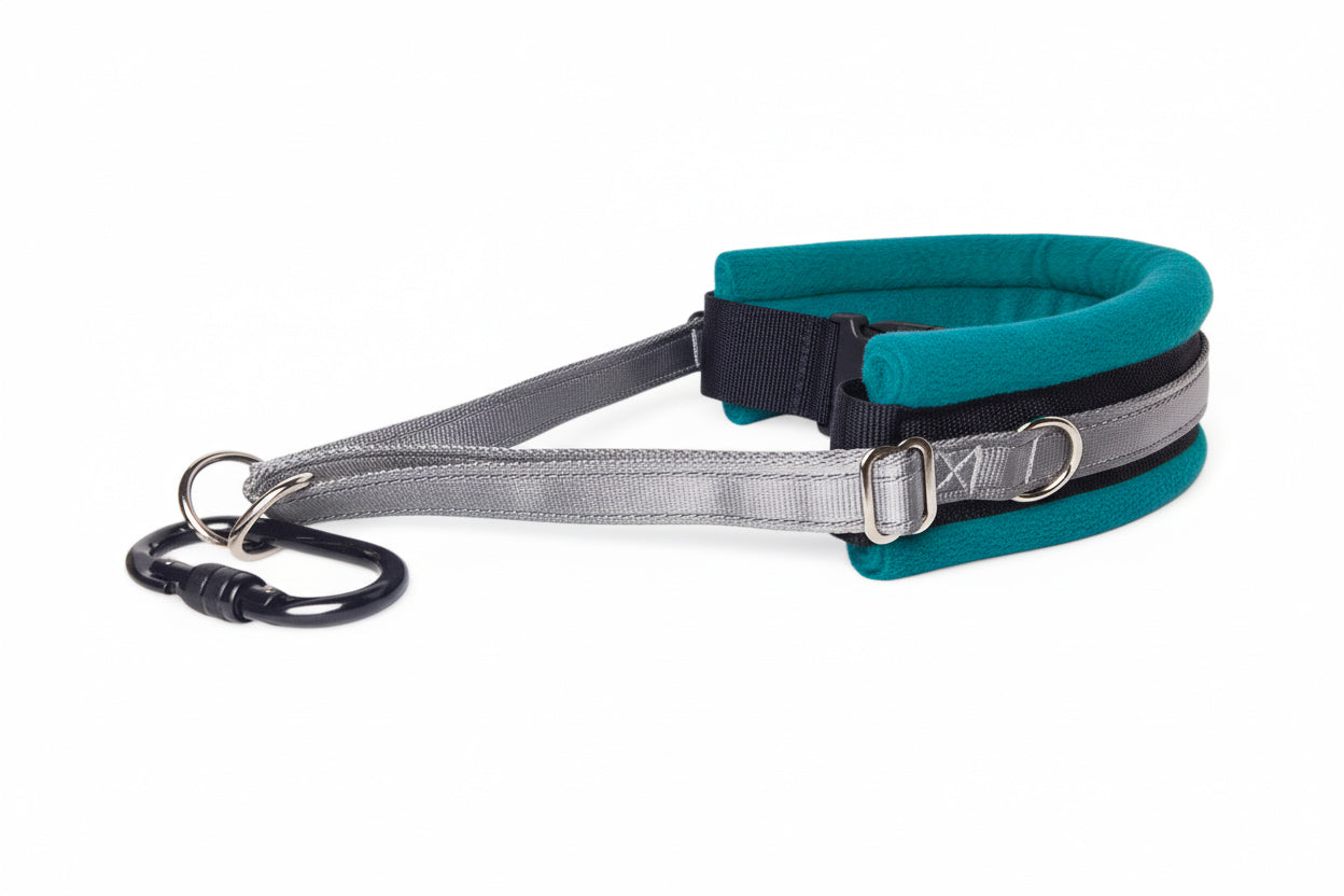 Hands Free Dog Walking Belt - Silver Webbing