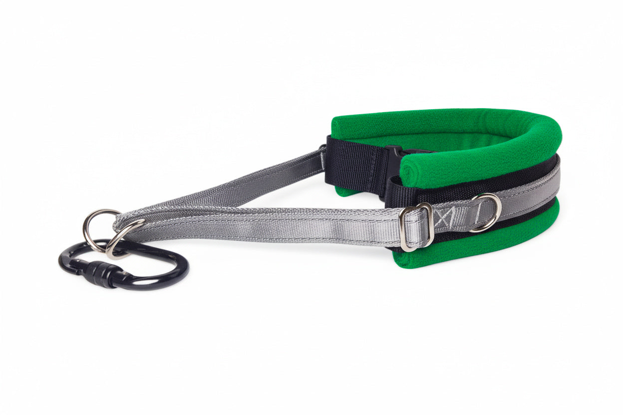 Hands Free Dog Walking Belt - Silver Webbing