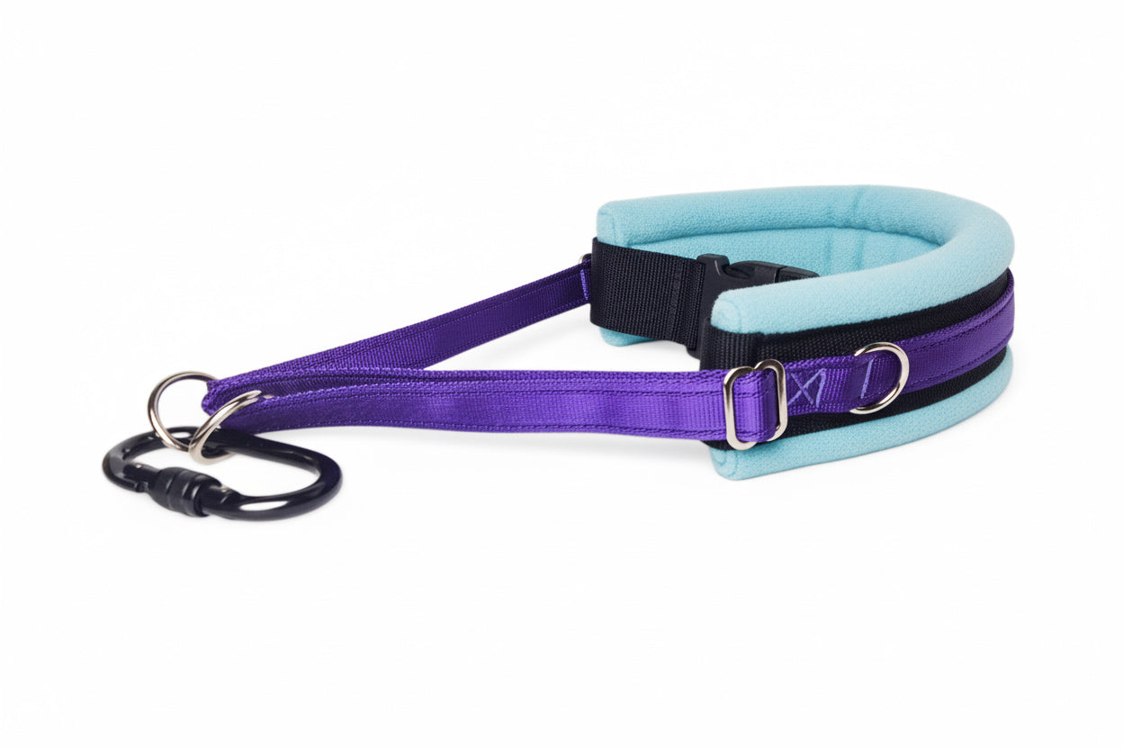 Hands Free Dog Walking Belt - Purple Webbing