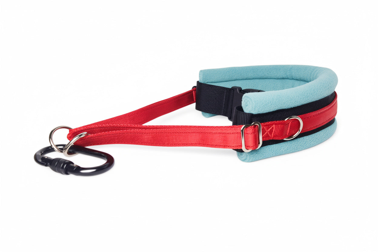 Hands Free Dog Walking Belt - Red Webbing