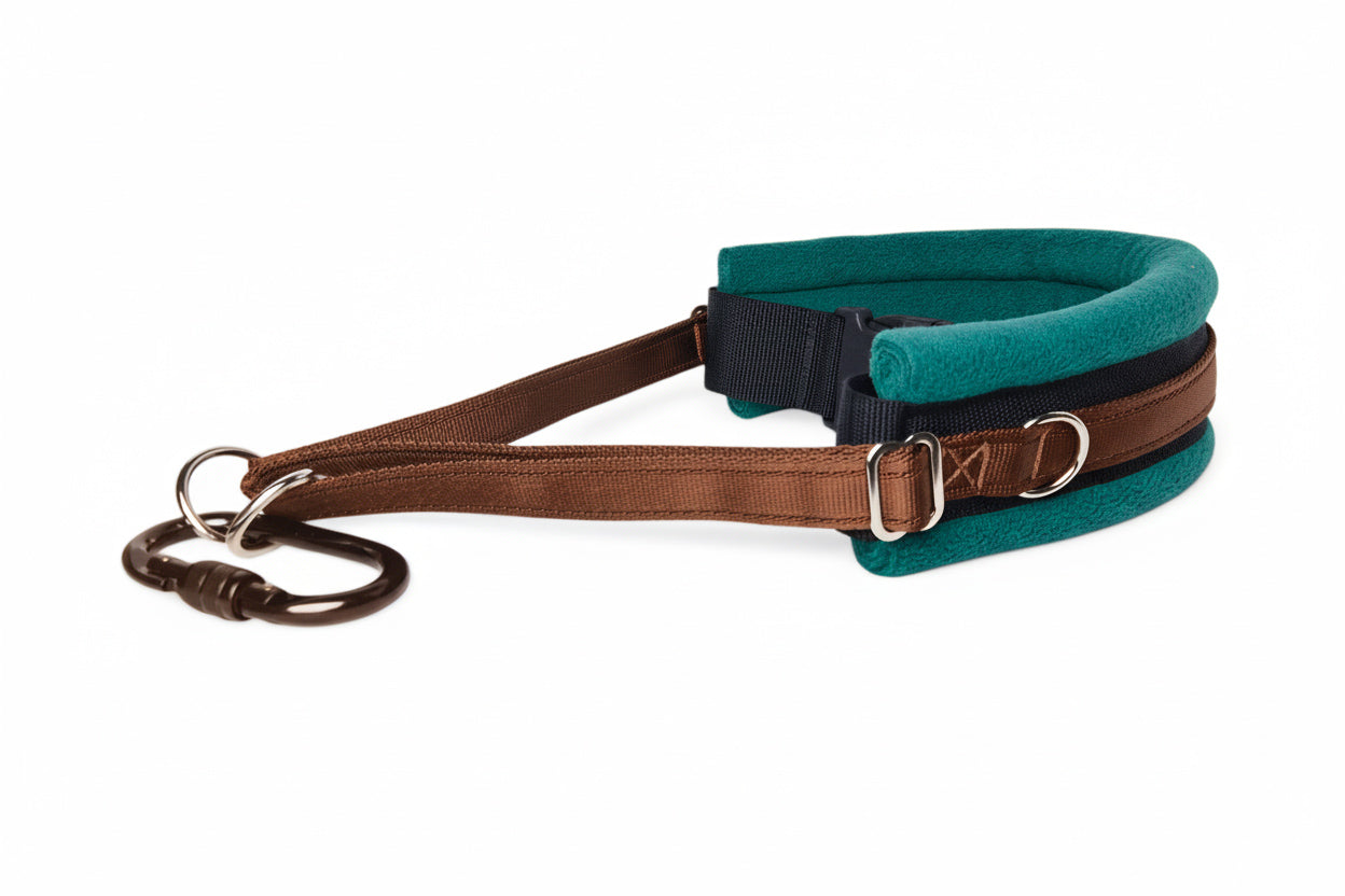Hands Free Dog Walking Belt - Brown Webbing