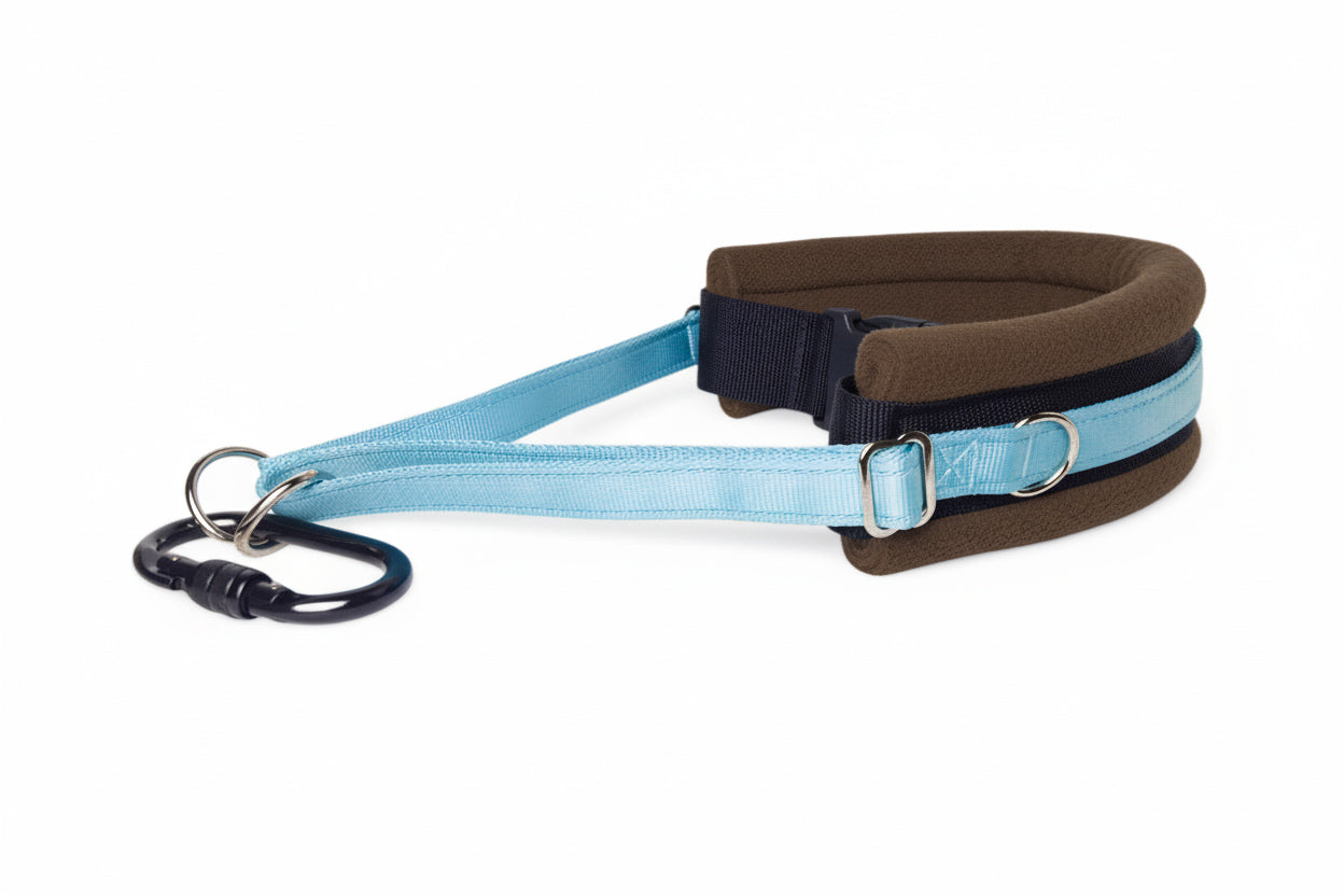 Hands Free Dog Walking Belt - Sky Blue Webbing
