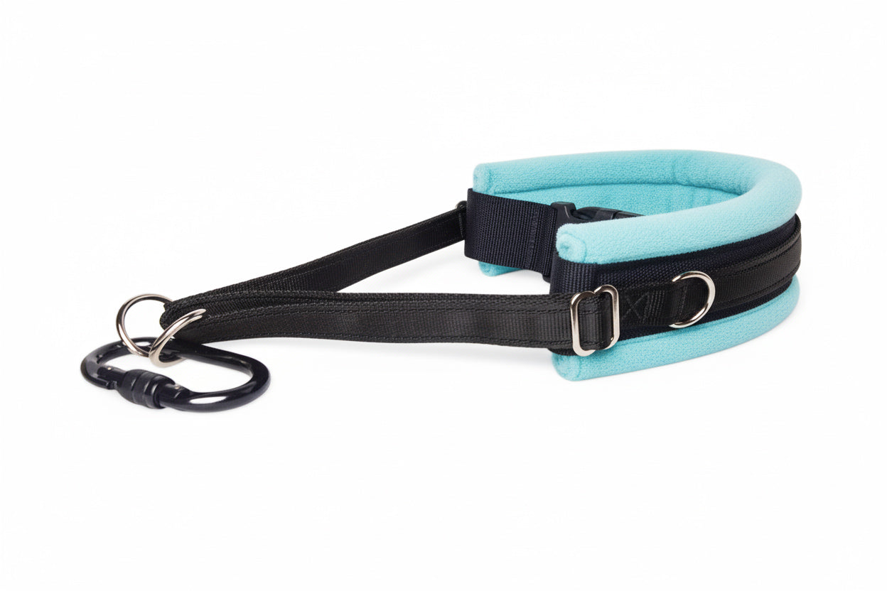Hands Free Dog Walking Belt - Black Webbing