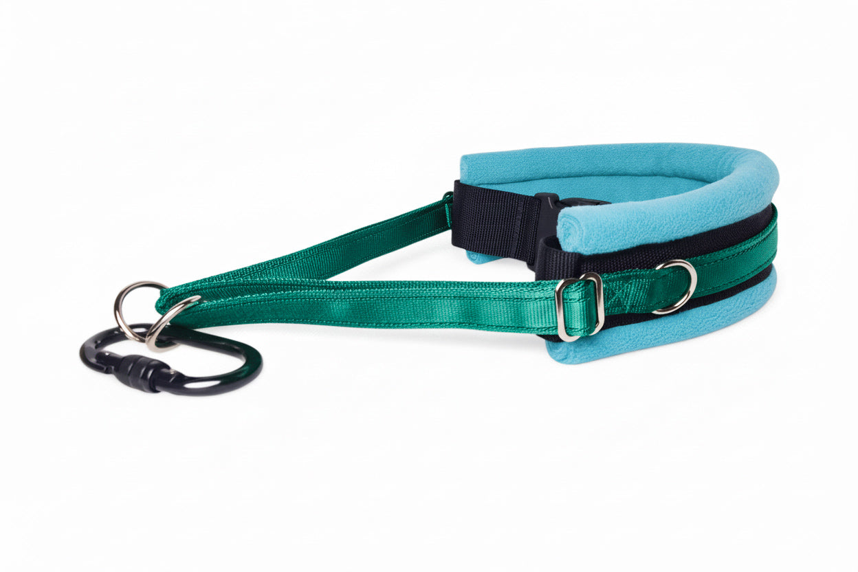 Hands Free Dog Walking Belt - Emerald Green Webbing
