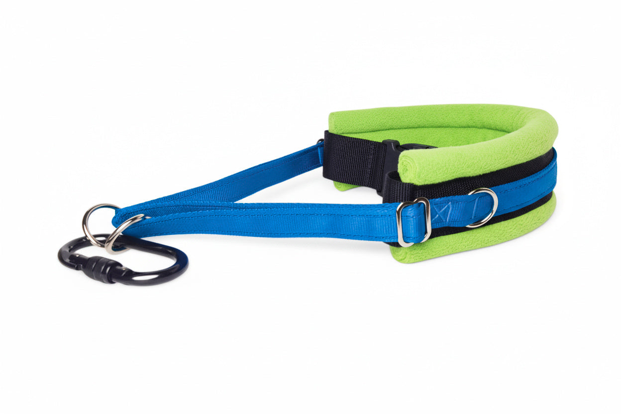 Hands Free Dog Walking Belt - Electric Blue Webbing