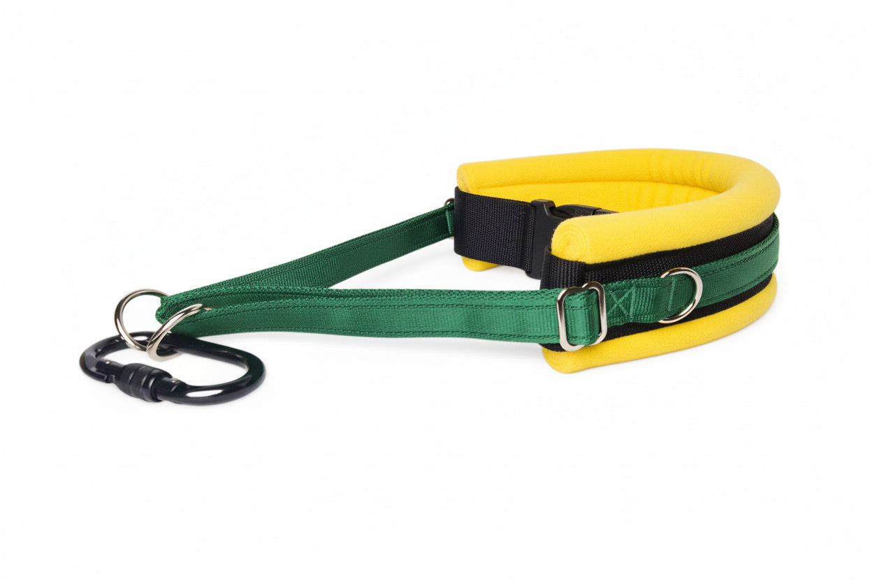Hands Free Dog Walking Belt - Forest Green Webbing