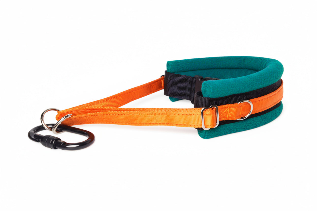 Hands Free Dog Walking Belt - Orange Webbing