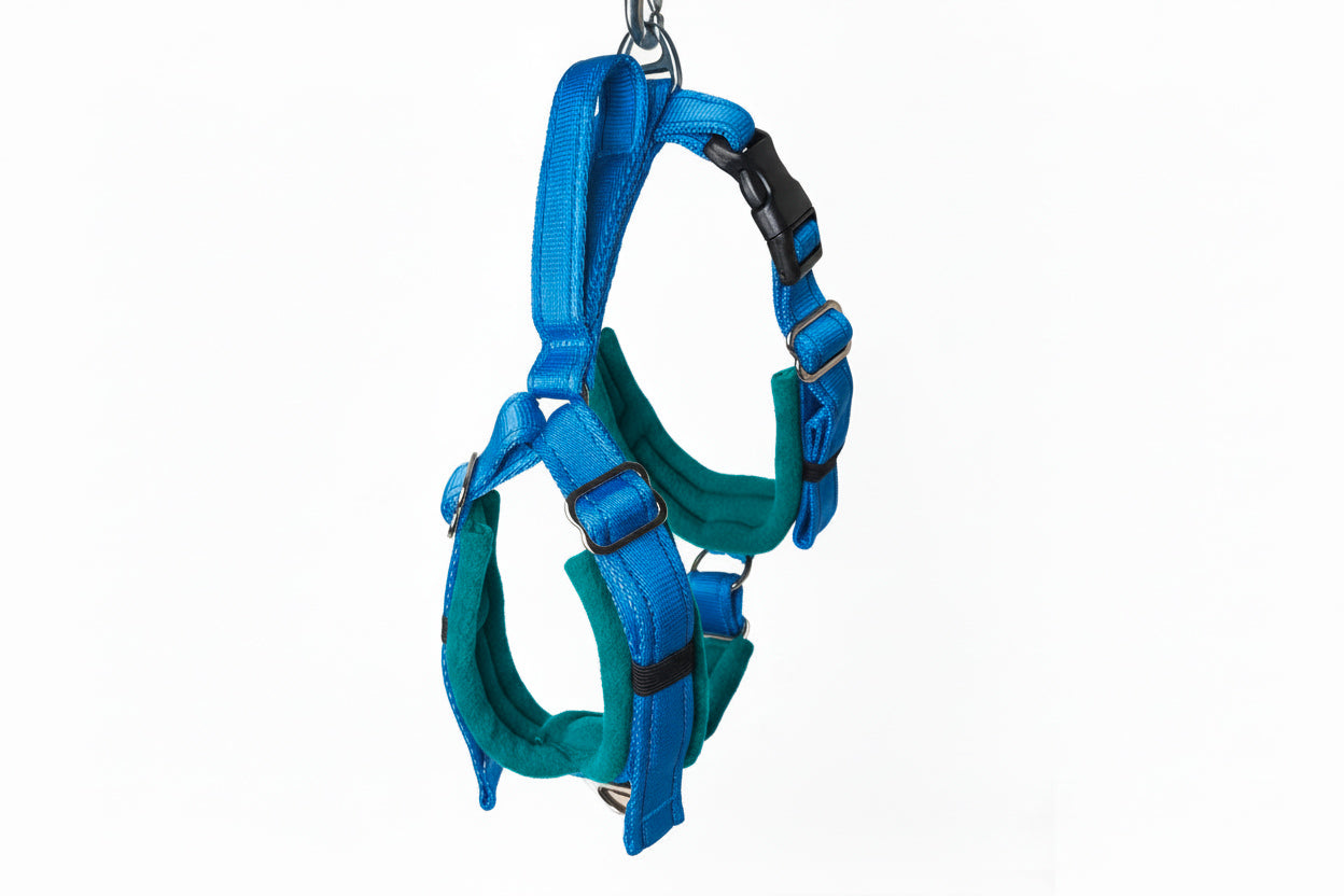 Electric Blue Adjustable Vari-Fit Harness - Fleece Lined