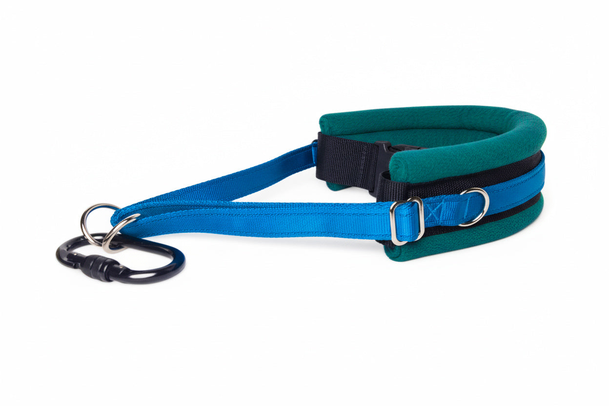 Hands Free Dog Walking Belt - Electric Blue Webbing