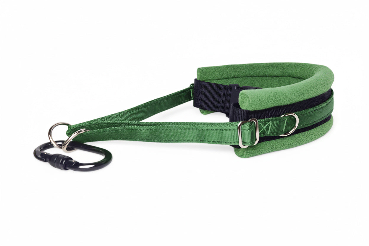 Hands Free Dog Walking Belt - Forest Green Webbing