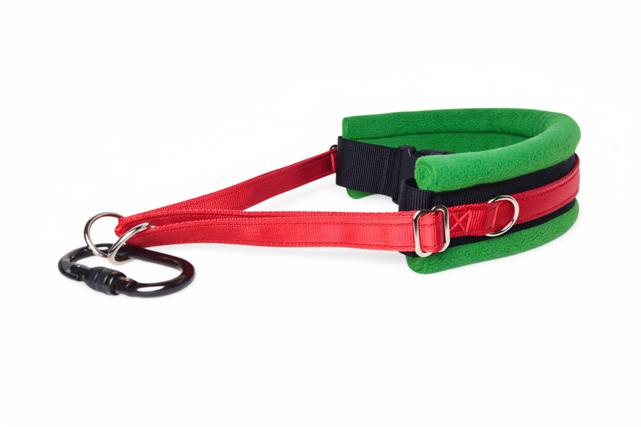 Hands Free Dog Walking Belt - Red Webbing
