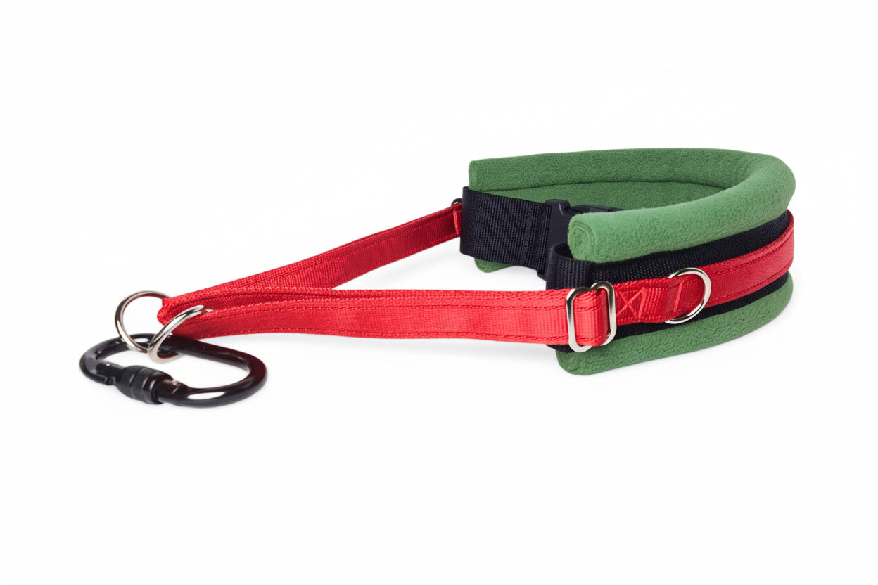 Hands Free Dog Walking Belt - Red Webbing
