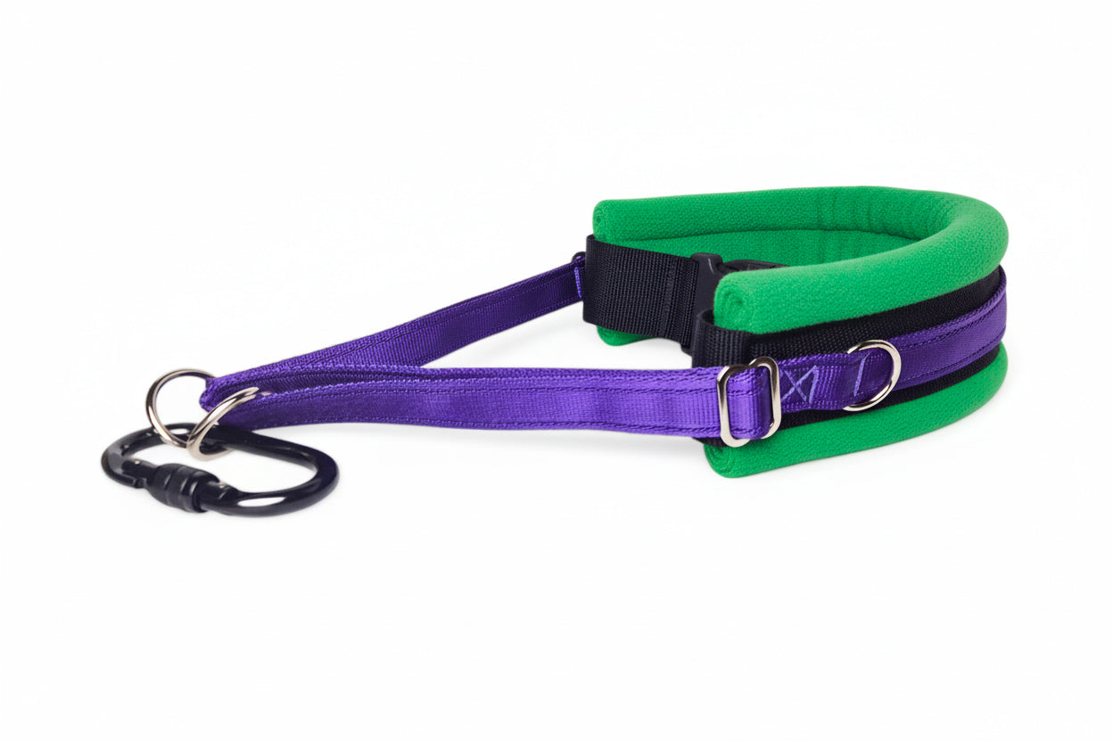 Hands Free Dog Walking Belt - Purple Webbing