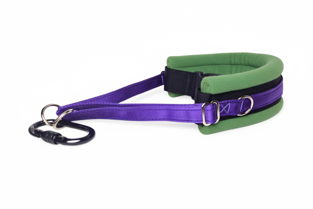 Hands Free Dog Walking Belt - Purple Webbing