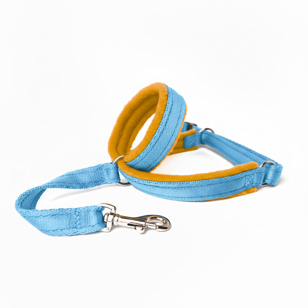 Figure 8 Martingale Headcollar - Sky Blue Webbing