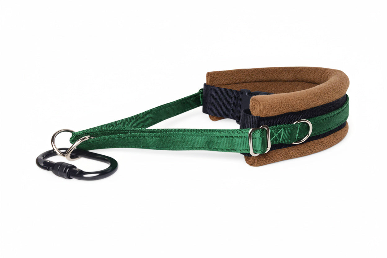 Hands Free Dog Walking Belt - Forest Green Webbing
